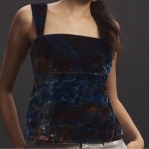 Anthropologie Pilcro Blue and Brown Top